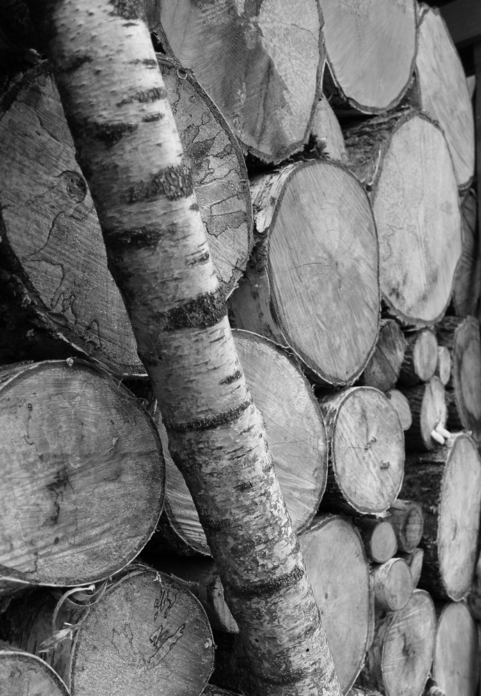 Holzlager